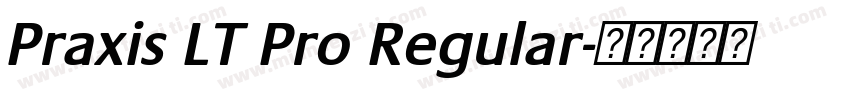 Praxis LT Pro Regular字体转换